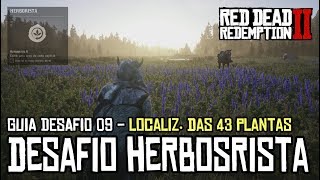 RED DEAD REDEMPTION 2  DESAFIOS HERBORISTA 9 LOCALIZAÇÃO DAS 43 PLANTAS [upl. by Erbas]