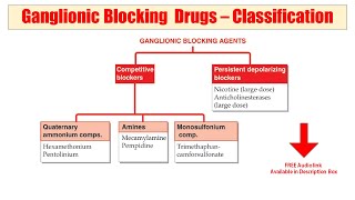 04 Ganglionic Blocking Agent  Audio Pharmacological Classification of Drug Recall Classification [upl. by Obola]