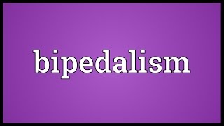 Bipedalism Meaning [upl. by Ahsenat]