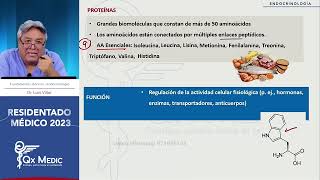 Endocrinología  6 VITAMINAS [upl. by Hamlin]