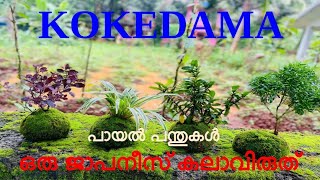 NSS KOKEDAMA MAKING  NSS VPKMMHSS PUTHUR PALLIKKAL [upl. by Anaile68]