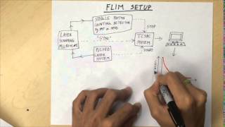 Fluorescence Lifetime Imaging Microscopy FLIM  Overview [upl. by Gnouh]