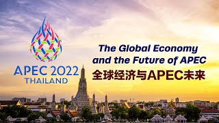 Live 2022 APEC Open Forum – The Global Economy and the Future of APEC [upl. by Sigler]