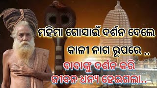 ମହିମା ଗୋସାଇଁ ଦର୍ଶନ ଦେଲେ ନାଗ ରୂପରେ  । ଅଲେଖ ବାବାଙ୍କ ଅଲୌକିକ କଥା  mahima alekha magha Mela 🙏🙏 [upl. by Green]