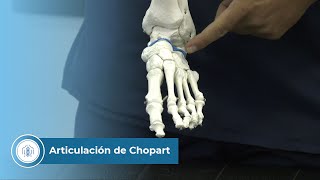 Articulación de chopart [upl. by Akimahs]