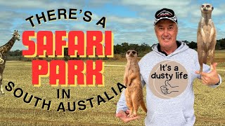 Monarto Safari Park South Australia with Dusty and Lisa [upl. by Ahtel996]