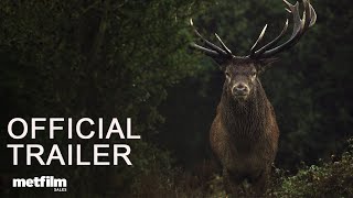 Wilding I Official Trailer I MetFilm Sales [upl. by Humfried890]