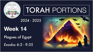 Torah Portion Week 14  Exodus 62  935 Plagues of EndTimes Egypt 2024  2025 [upl. by Zink]