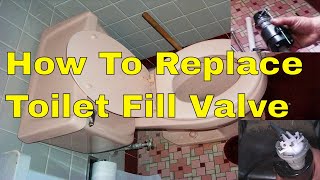 How To Replace Toilet Fill Valve With New Fluid Master kit [upl. by Rebor]