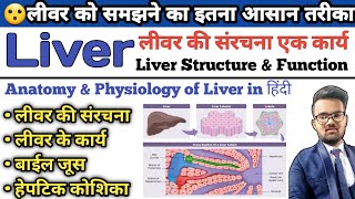 Liver Anatomy and Physiology  Function of Liver  Hepatic Cell  Bile Juice  Lobes of Liver [upl. by Godred966]