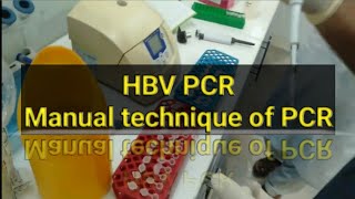 HBV PCR test PCR test Manually [upl. by Arimaj]