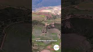 Los andenes circulares de Moray cusco peru [upl. by Aibat]