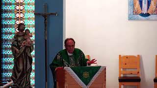 Father DePalmas Homily for the 23rd Sunday in Ordinary Time [upl. by Eidod]