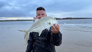 NOOSA HEAD BEACH FISHING [upl. by Airrej]