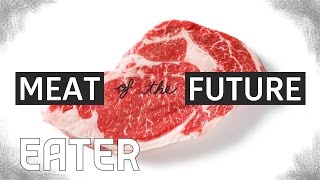 The Meat of the Future How LabGrown Meat Is Made [upl. by Atinaej]