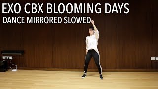 EXOCBX 첸백시 花요일 Blooming Day Full Dance Mirrored Slowed Charissahoo [upl. by Woolcott298]