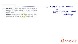 AssertionChoroid layer is thick over the posterior twothird of the eye ball but it becomes thin i [upl. by Trelu]