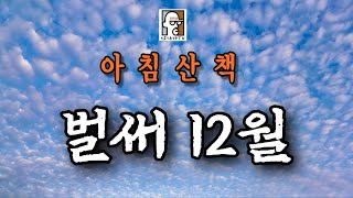 벌써 12월 아침산책 [upl. by Millburn]