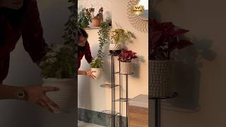 Planter standDecor home with plantsHomedecor youtube plants plantstand homedecor diwali [upl. by Quiteris]