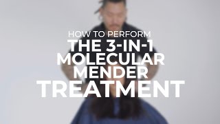 3in1 Molecular Mender Treatment With Philip Wolff [upl. by Sosna]