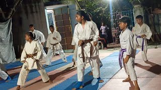 KARATE CLASS💃 FOR BEGINNERS LEARN🔥 MARTIAL ARTS MARTIAL ARTS CLASS LEARN KARTE mastershailesh❓ [upl. by Golding]