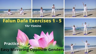 Falun Dafa Falun Gong Exercises 15 Practice by Easy Mirroring Opposite Genders 1h15mins [upl. by Dorrej]