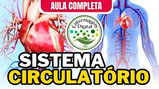 SISTEMA CIRCULATÓRIO  AULA COMPLETA  SISTEMA CARDIOVASCULAR [upl. by Anoved]