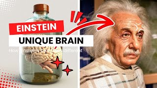 Albert Einstein  how Einstein brain was different [upl. by Kir131]