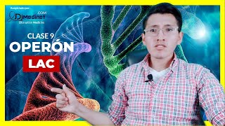 🟢 Clase 9 ANIMACIÓN y EXPLICACIÓN del OPERÓN LAC en BACTERIAS🧬😎 ▶ BIOLOGÍA MOLECULAR [upl. by Nwadahs]