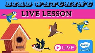 Bird Watching LIVE with Twinkl Home Ed [upl. by Marelda]