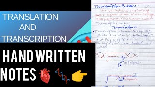 Mutation❤transcription and translation😍🧬 class 12 biologyeasynotes handwrittennotes [upl. by Prentiss435]