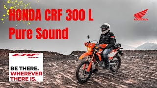 HONDA CFR 300 L  PURE SOUND [upl. by Ainav]