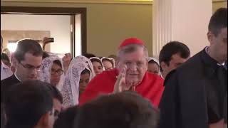 Ecce Sacerdos Magnus  Wilson Fonseca Pontifical Mass Cardinal Burke in Brasilia Brazil [upl. by Warrin]