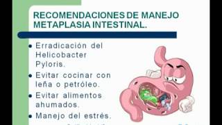 17 Gastritis Crónica Atrófica con Mataplasia Intestinal [upl. by Scot]