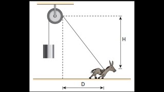 Um burro deslocandose para a direita sobre o solo plano e horizontal iça verticalmente uma carga… [upl. by Dolores]