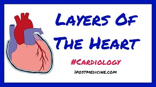 Layers Of The Heart  Cardiology [upl. by Jasmine]