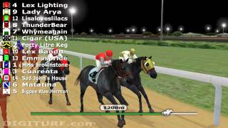 Virtual Horse Racing Game  Real Money [upl. by Relyk933]