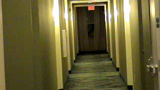 Full Hotel Tour Springhill Suites by Marriott in Alexandria VA [upl. by Erasaec]