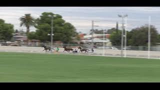 Mildura Harness Racing Club 5 Dec 2023 Trial 1 [upl. by Einahpts393]