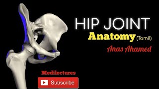 Hip Joint anatomy clearly explained Tamil medilecturestamil [upl. by Goar]