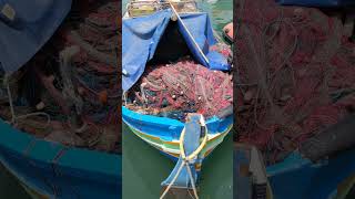 Malta absolute must Traditional luzzu fishing boats and harbour in Marsaxlokk [upl. by Annuahsal]