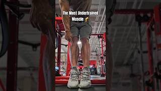 The Most Undertrained Muscle  Tibialis Anterior [upl. by Neelhtakyram537]