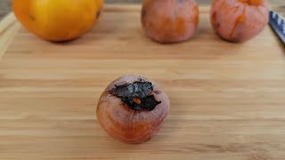 Persimmon Review Comparing 3 Varieties Americans Keener amp Yates and Asian Fuyu [upl. by Deragon279]