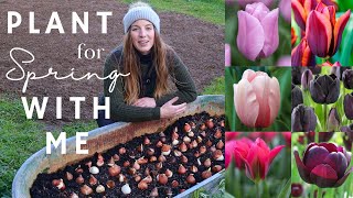 How to Plant Tulip Bulbs Quickly and Easily🌹  Northlawn Flower Farm [upl. by Nerot911]