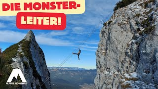 💥‼ GRANDIOSE 40 Meter RIESENLEITER am Donnerkogel Klettersteig 💥‼ [upl. by Drida]