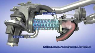 BorgWarner EGR System for Passenger Vehicle Applications [upl. by Uriiah907]