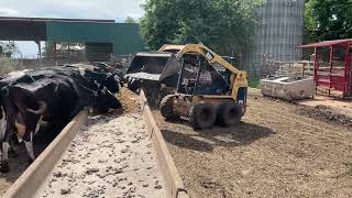 Farmer John Feeds Silage with Skid Steer [upl. by Tnelc462]