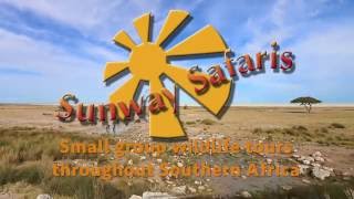 Sunway Safaris Namibia Etosha National Park [upl. by Jasmine]