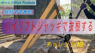 DIY切り株の抜根 自分でできた 大きい切り株にチャレンジ編 [upl. by Berk]