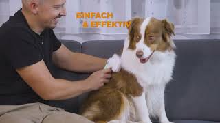 PiddiPet IonBrush Sanft entwirrt amp perfekt gepflegt mit IonenPower  MediaShopTV [upl. by Borchers]